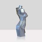 Woman Torso